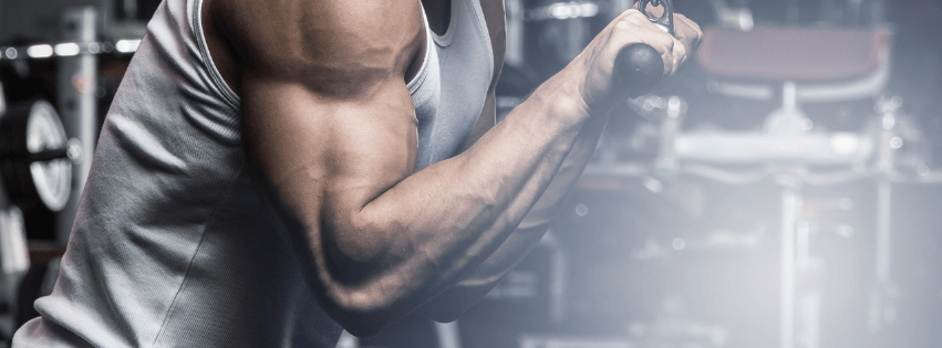 man triceps trainen